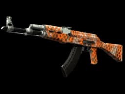 AK-47 | Safety Net (Well-Worn)