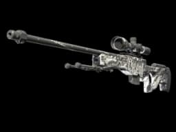 AWP | The End