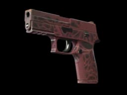P250 | Contaminant (Minimal Wear)