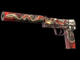 USP-S | Kill Confirmed